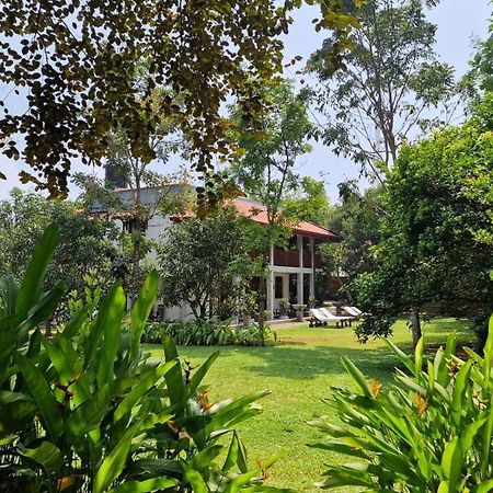 Villa Arana ベントータ エクステリア 写真