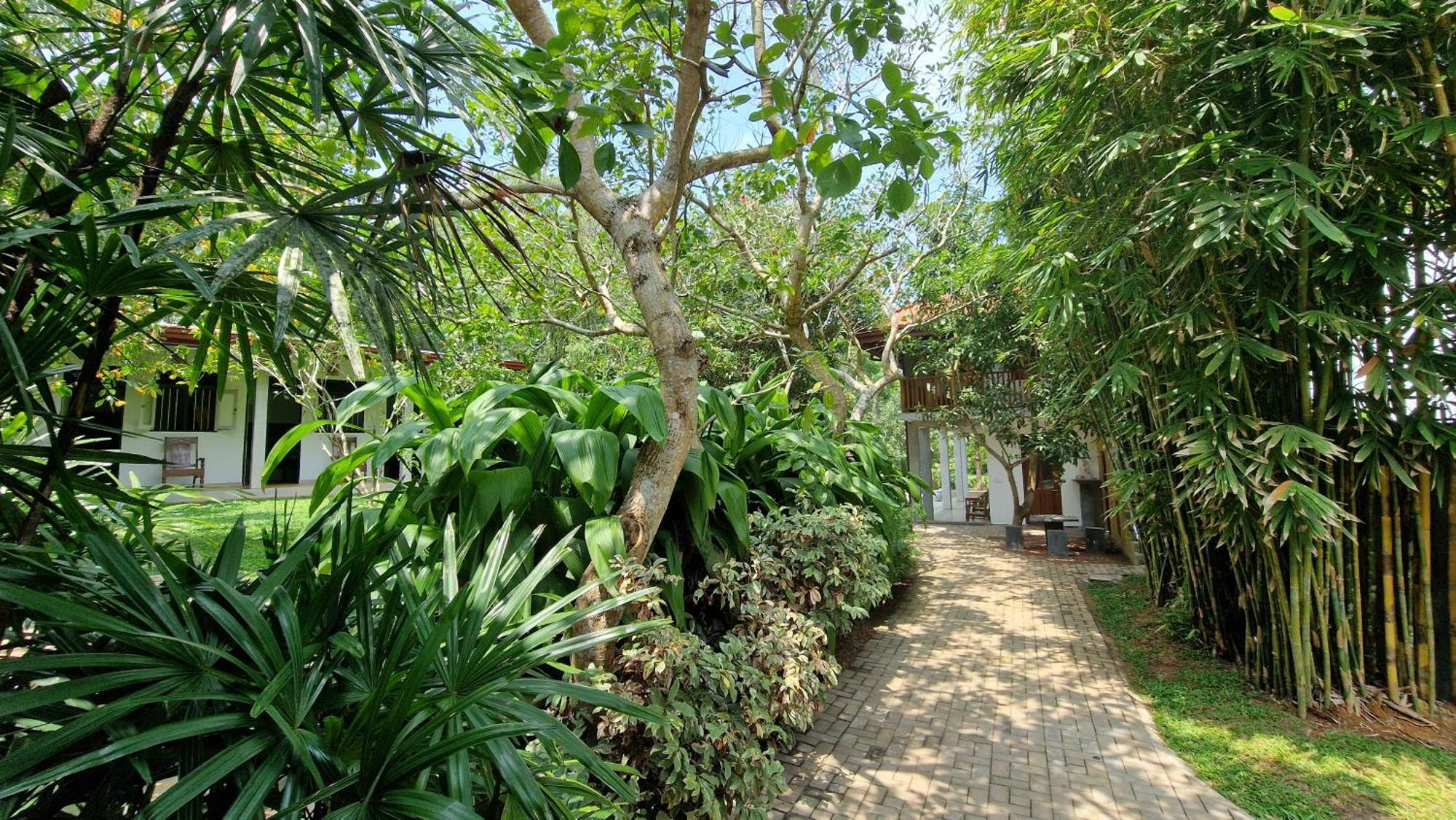 Villa Arana ベントータ エクステリア 写真