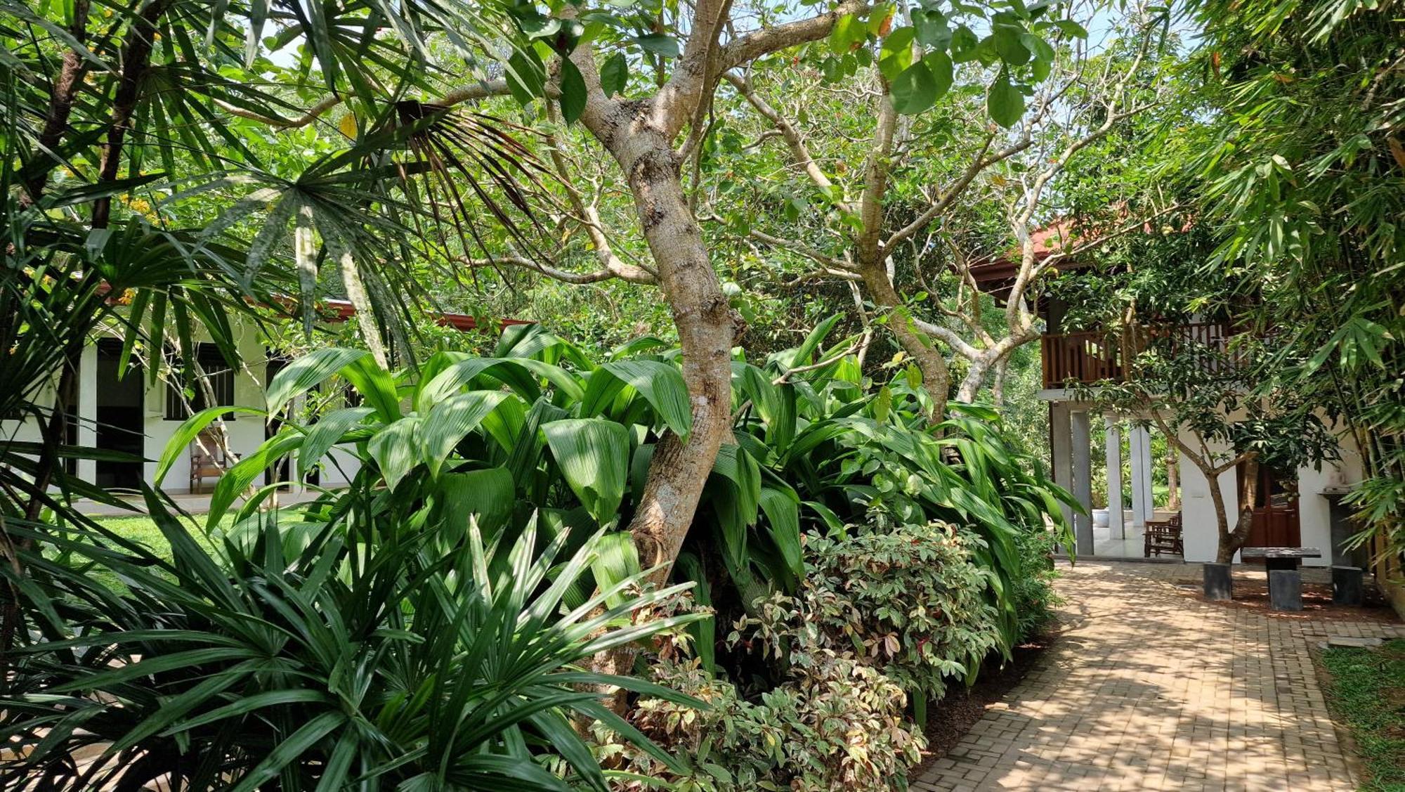 Villa Arana ベントータ エクステリア 写真