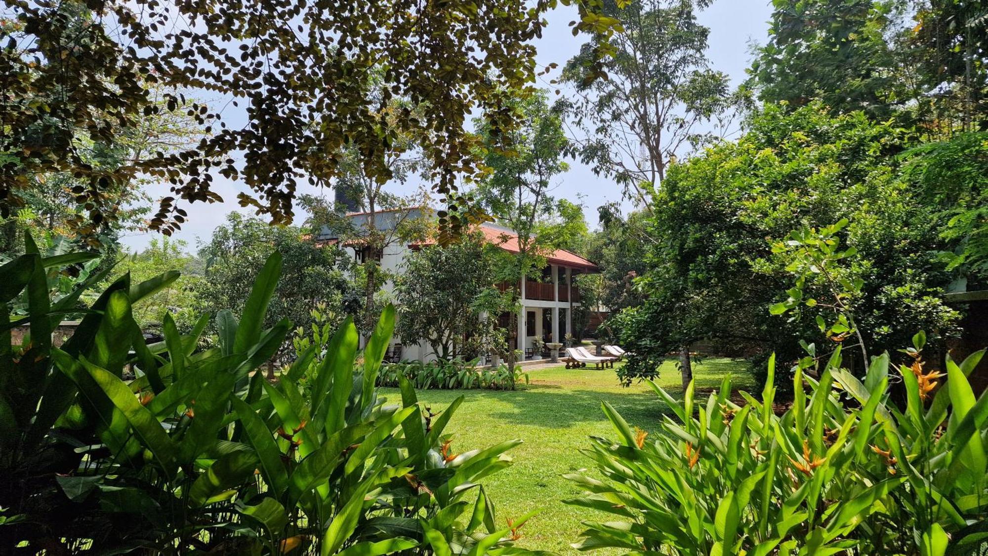 Villa Arana ベントータ エクステリア 写真