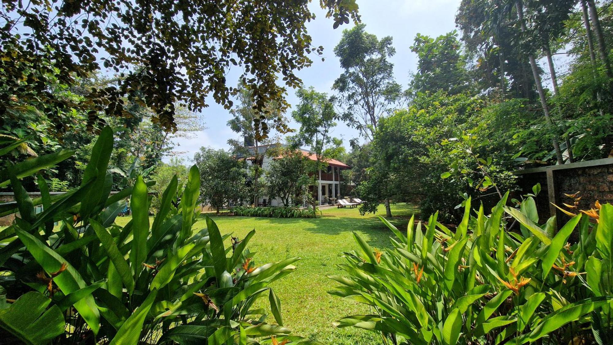 Villa Arana ベントータ エクステリア 写真